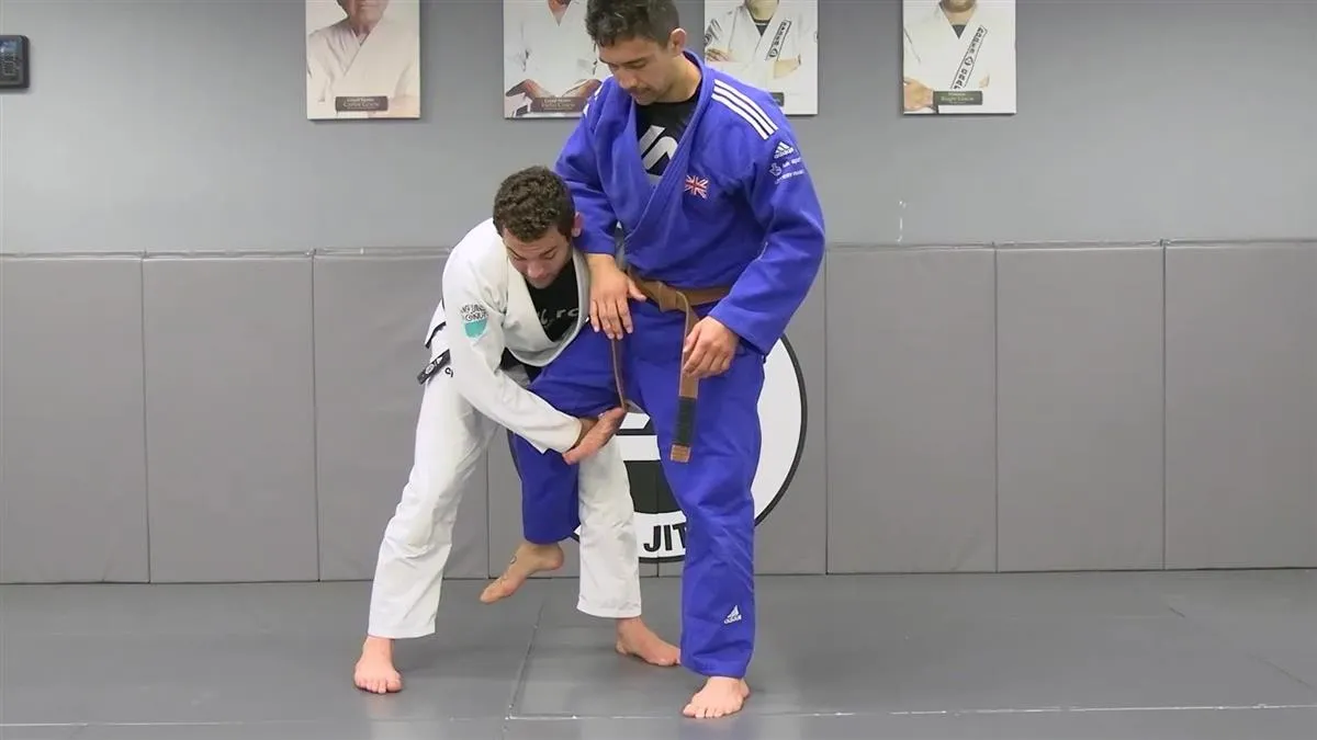 Gracie Fundamentals: Turtle Mastery by Rayron Gracie